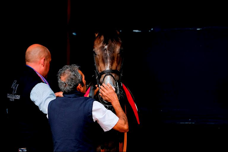 Stabling
