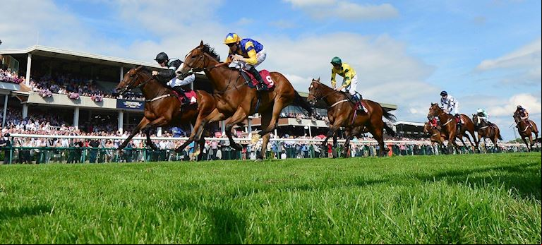 bet365 Old Newton Cup Day